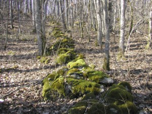 Roches de Châtoillon